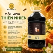 MẬT ONG THIÊN NHIÊN BEE HONEY [ NATURAL HONEY ] 7.0 KG
