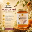 MẬT ONG HOA CÀ PHÊ BEHONEY BEAR [ COFFEE FLOWERS HONEY ] 380ML