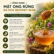 MẬT ONG RỪNG BEHONEY BEAR [ NATURAL HONEY ] 1.5KG