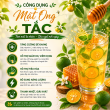 MẬT ONG TẮC [ KUMQUAT HONEY ] 420 GR