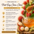 MẬT ONG HOA CHÔM CHÔM BEHONEX XUẤT KHẨU [ RAMBUTAN FLOWER HONEY EXPORT ] 600ML