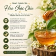 MẬT ONG HOA CHẶC CHÌU BEHONEX XUẤT KHẨU [ TETRACERA FLOWER HONEY EXPORT ] 600ML