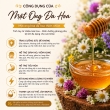 MẬT ONG XUẤT KHẨU BEHONEX [ EXPORT HONEY ] 180ML